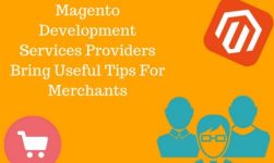 magento-development-services-providers-bring-useful-tips-for-merchants