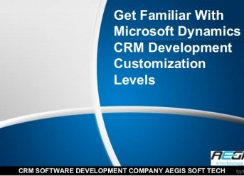 MS CRM development